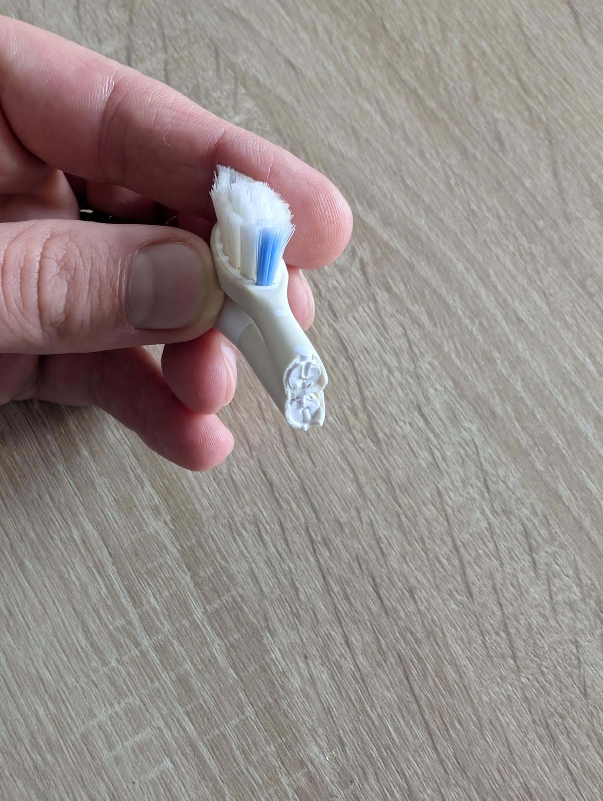 Familie komplett versorgt